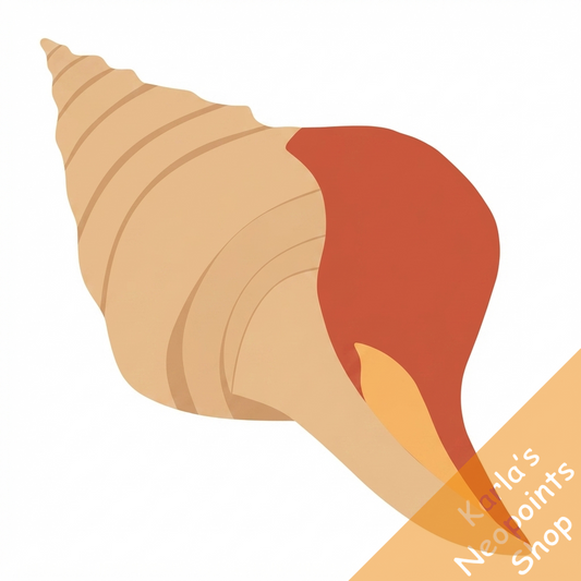Tangerine Trumpet Shell