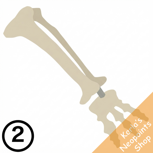 Bone Walking Staff